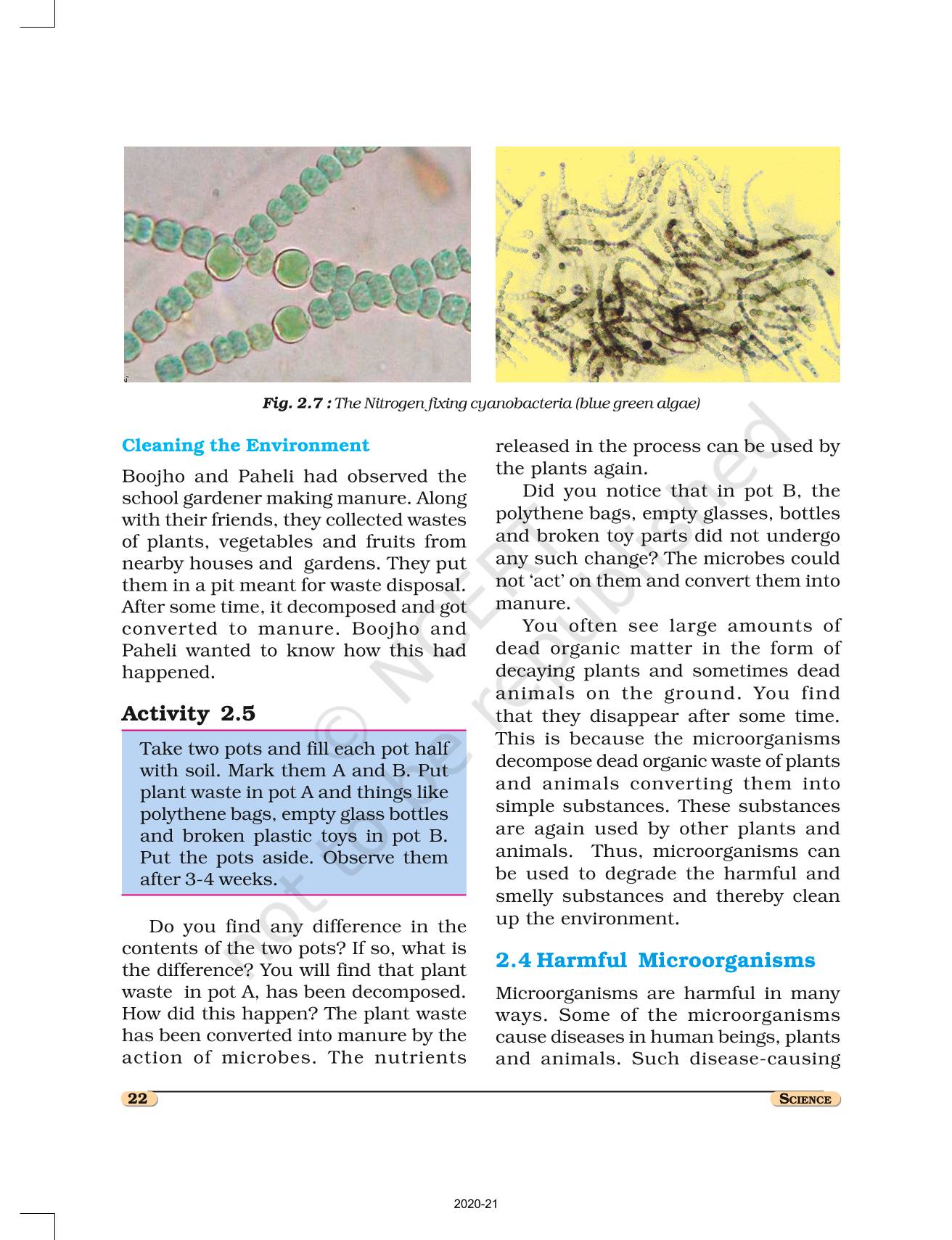 Microorganisms Friend And Foe - NCERT Book Of Class 8 Science